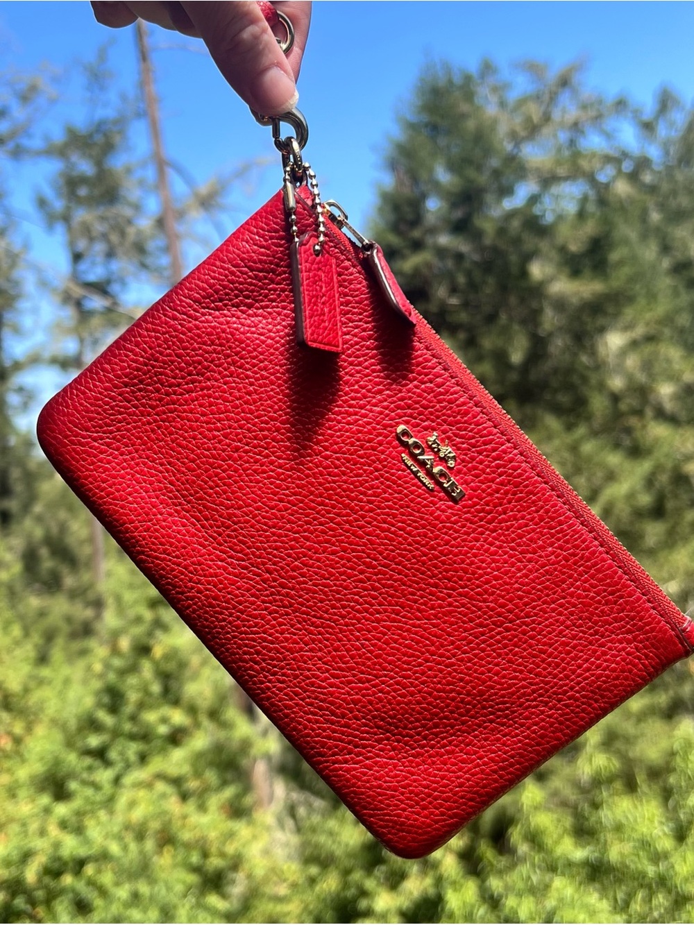COACH Small RED Pebble Leather Wristlet Wallet Clutch Gold Hardware AUTHENTIC